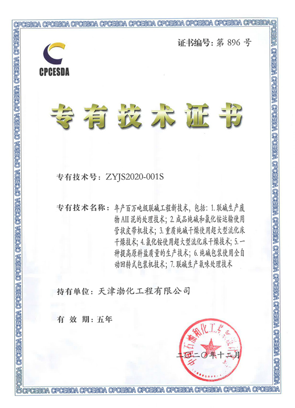 年產(chǎn)百萬(wàn)噸級(jí)聯(lián)堿工程新技術(shù)—正本.jpg